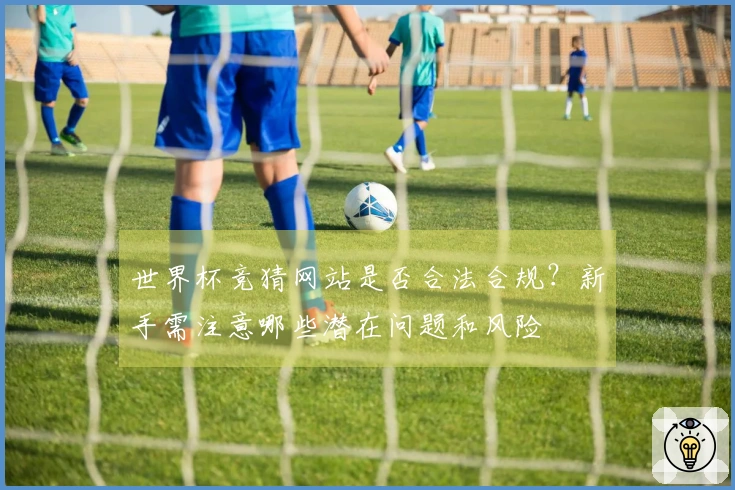 世界杯竞猜网站是否合法合规？新手需注意哪些潜在问题和风险