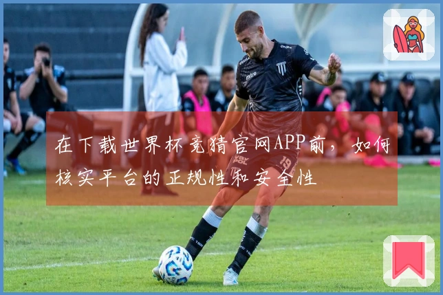 在下载世界杯竞猜官网APP前，如何核实平台的正规性和安全性