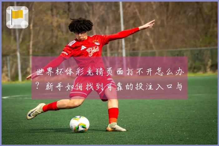 世界杯体彩竞猜页面打不开怎么办？新手如何找到可靠的投注入口与赔率信息