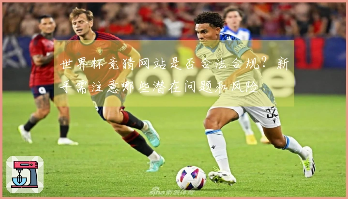 世界杯竞猜网站是否合法合规？新手需注意哪些潜在问题和风险
