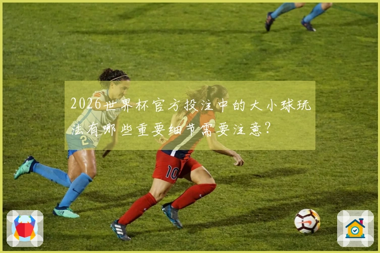2026世界杯官方投注中的大小球玩法有哪些重要细节需要注意？